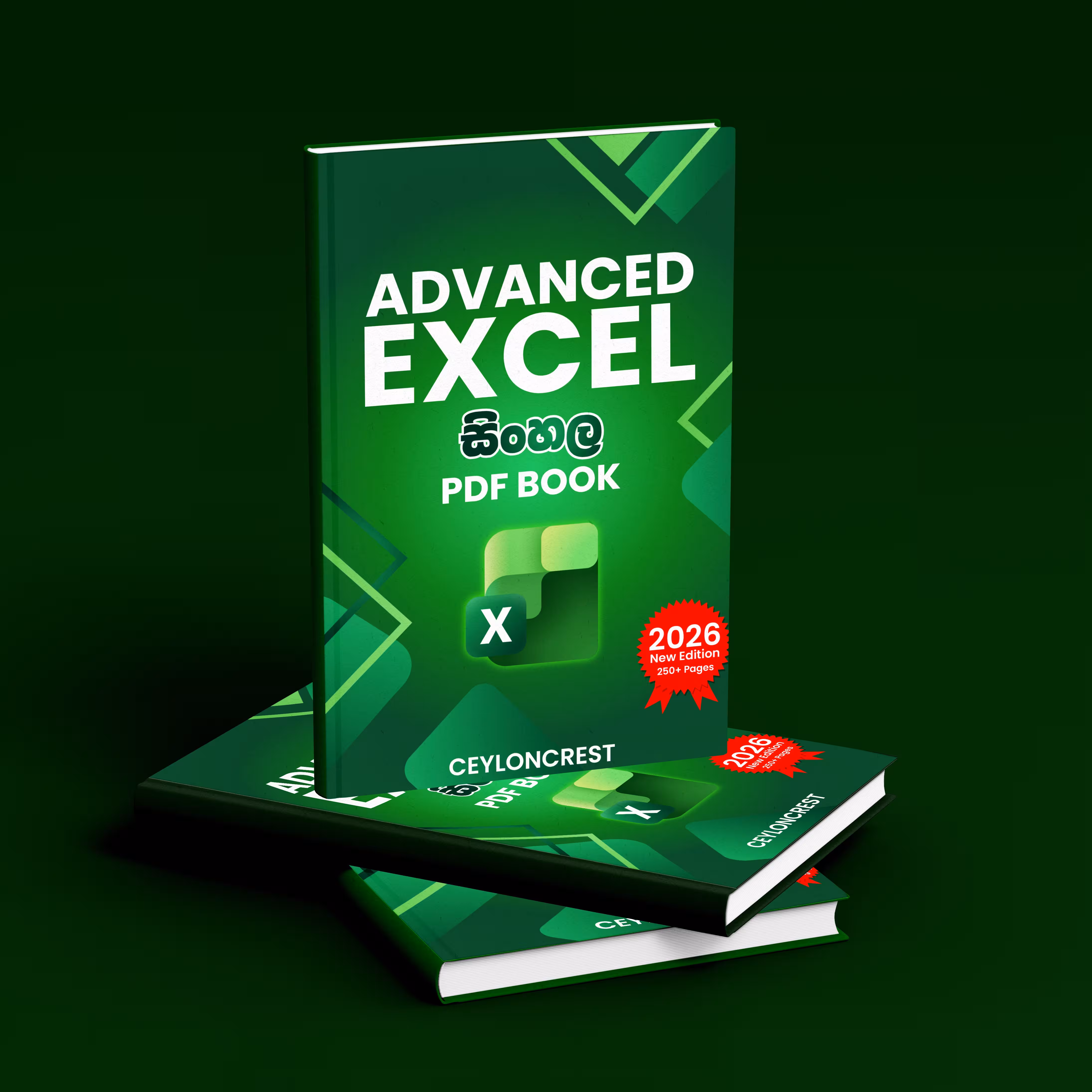 Advanced Excel (Sinhala)